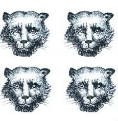 leopards faces (4)