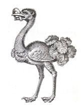 ostrich